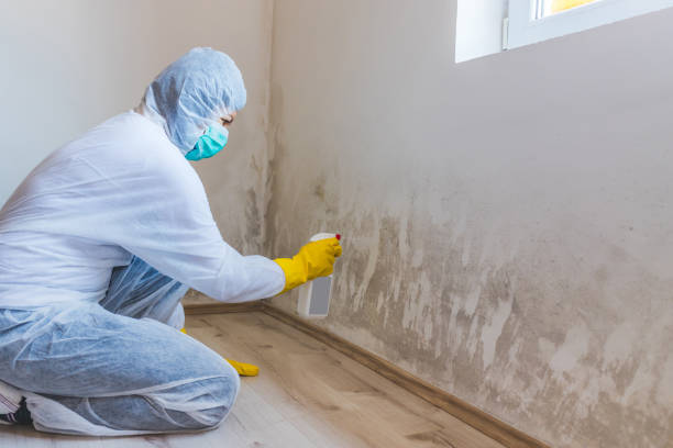 Bathroom Mold Removal assessment in Lakehurst bathroom