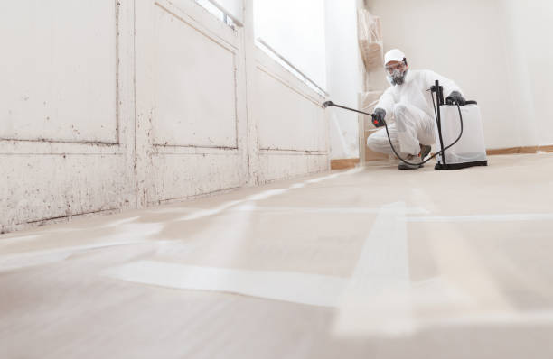 Black mold remediation team in Lakehurst