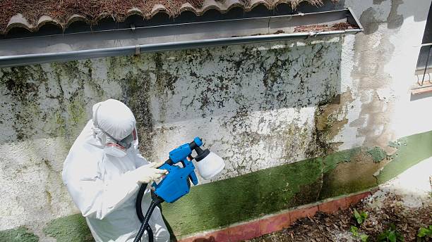 Mold Removal service in Lakehurst